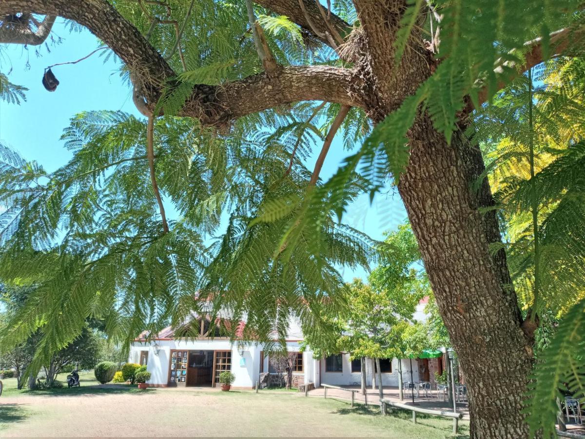 Hotel La Posta Del Dayman Termas del Dayman Exterior photo